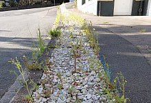 glasfaser3 - 1 - Helmut Schilling