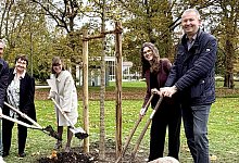 baumpflanzung - 1 - Stadt Bad Salzuflen