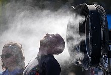 Hitzewelle in Australien - Dita Alangkara/AP/dpa