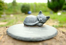 Viele Tiere kann man im Garten beisetzen - Foto: Markus Hibbeler/dpa-tmn