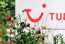 Tui AG - Julian Stratenschulte/dpa