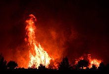 Flammen verbrennen einen Wald in der N&auml;he des Dorfes Galatsona auf der Insel Eub&ouml;a, etwa 188 Kilometer n&ouml;rdlich von Athen. - Michael Varaklas/AP/dpa