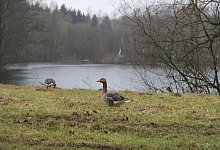 Refugium f&uuml;r die Tierwelt - Jens Rademacher