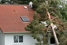 Versicherungsschutz - Foto: Hendrik Schmidt/dpa-Zentralbild/dpa-tmn