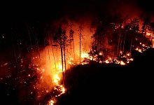 Waldbr&auml;nde - Thomas Schulz/dpa-Zentralbild/dpa