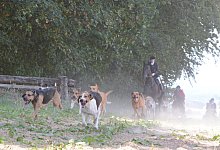 Schleppjagd - Tanja Watermann