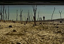 D&uuml;rre in Spanien - Alvaro Barrientos/AP/dpa