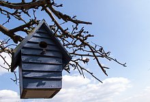 Nistk&auml;sten jetzt s&auml;ubern - Foto: Andrea Warnecke