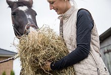 Was Pferdebesitzer jetzt tun k&ouml;nnen - Foto: Christin Klose/dpa-tmn