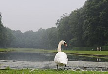 Wetter in NRW - Wolf von Dewitz/dpa-Zentralbild/dpa