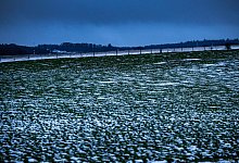 Winterwetter - Sturmtief Elli - Eifel - Thomas Banneyer/dpa