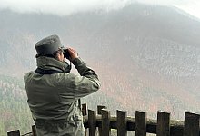 B&auml;ren im Trentino - Robert Messer/dpa
