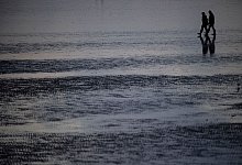 Spaziergänger laufen durch das Watt - Sina Schuldt/dpa/dpa-tmn