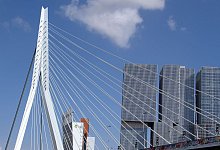 Erasmusbrücke in Rotterdam - Soeren Stache/dpa-Zentralbild/dpa-tmn