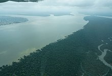 Überflug über das Amazonasgebiet - Larissa Schwedes/dpa