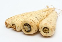 Bei Pastinaken zu kleinen und hellen greifen - Foto: Andrea Warnecke