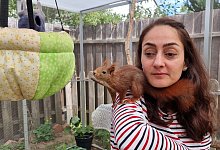 Eichh&ouml;rnchen-Retterin - Fernando Martinez/TNN/dpa