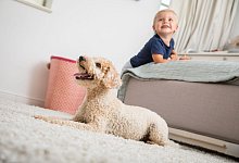 Kleinkind und Hund - Christin Klose/dpa-tmn