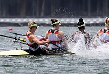 Krebs - Foto: Jan Woitas/dpa-Zentralbild/dpa