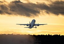 Vor der R&uuml;ckreise muss ein negatives Testergebnis her - Foto: Andreas Arnold/dpa/dpa-tmn