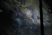 Leben unter Extrembedingungen aufgesp&uuml;rt - Foto: Dr Huw Griffiths/British Antarctic Survey/dpa