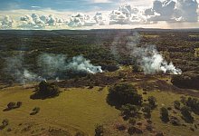 Abholzung - Foto: Luis Barreto/WWF-UK/dpa/Archiv