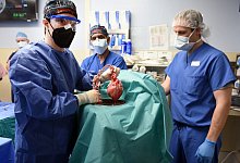 Schweineherz-Transplantation - Foto: Tom Jemski/University of Maryland School of Medicine/dpa