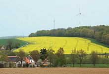 Raps - Axel B&uuml;rger