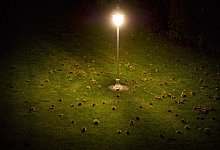 Beleuchteter Garten - Foto: Daniel Reinhardt