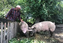 Udo Baumann - Sven Kienscherf