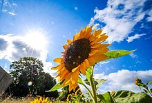 «Glücksatlas» - Menschen in NRW sind zufrieden - Christoph Reichwein/dpa
