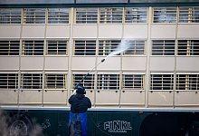 Viehtransporter - Foto: Jens B&uuml;ttner/dpa-Zentralbild/dpa