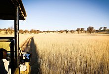 Urlaub in Namibia - Foto: Catherine Waibel/dpa-tmn
