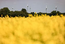 Wetter in der Eifel - Oliver Berg/dpa