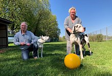 Hunde - Sven Kienscherf