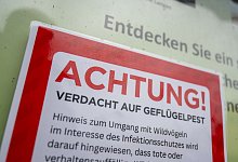 Vogelgrippe - Christophe Gateau/dpa