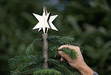 &laquo;Keinachtsbaum&raquo; - Friso Gentsch/dpa