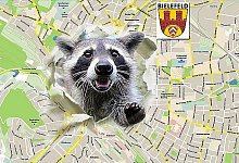 F&uuml;hlt sich in Bielefeld heimisch - FOTO: DPA,GOOGLE, GESTALTUNG: SILKE SALBERT