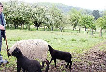 Anordnung des Kreises sorgt f&uuml;r &Auml;rger - Lage