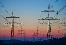 Ausbau der Stromnetze - Foto: Patrick Pleul/dpa-Zentralbild/dpa