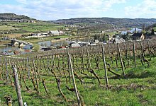 Weinberg und Moselbrücke - Bernd F. Meier/dpa-tmn