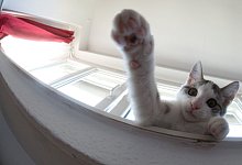 Spaziergang an der Leine - Foto: Jochen L&uuml;bke/dpa