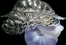 «Blaue Flotte» im Müllstrudel - Denis Riek/The Global Ocean Surface Ecosystem Alliance/dpa