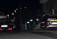 Mit Machete bewaffneter Deutscher in &Ouml;sterreich erschossen - Thomas Lenger/Monatsrevue.At/APA/dpa