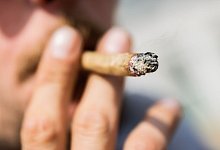 Cannabis - Christoph Soeder/dpa