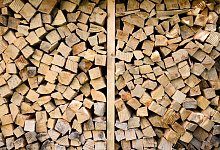 Begehrtes Holz - Julian Stratenschulte/dpa