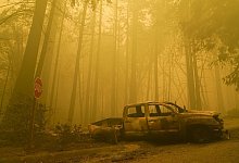 Ausgebrannt - Foto: Marcio Jose Sanchez/AP/dpa