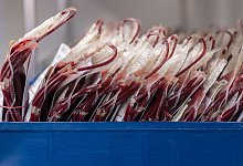 Blutkonserven - Robert Michael/dpa