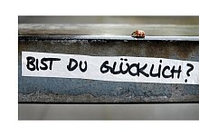 Gl&uuml;cklich? - Foto: Martin Gerten