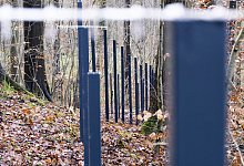 Zaunpf&auml;hle - Foto: Frank Molter/dpa